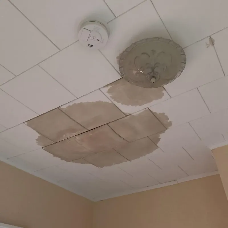Ceiling Water Damage Repair in Munroe Falls, OH