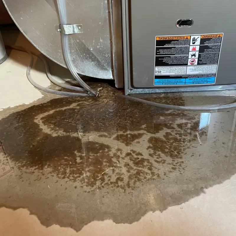 Pipe Burst and Leak Restoration in Munroe Falls, OH